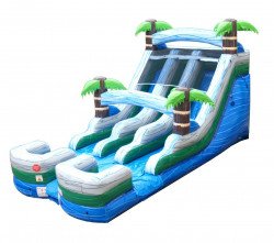 15FT TROPICAL DOUBLE SLIDE